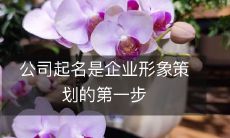 公司起名是企业形象策划的第一步