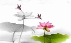 2023年1月26日五行穿衣分享 最佳幸运色查询