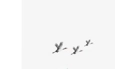 2023年2月2日五行穿衣指南 今日穿衣早知道