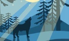 给父亲送花,送什么花好?