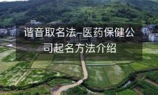 谐音取名法-医药保健公司起名方法介绍