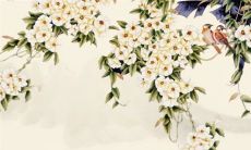 2023年1月25日五行属性查询 每日五行穿衣搭配