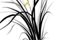 2023年2月4日五行属性查询 每日五行穿衣搭配