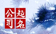 网络科技公司怎么起名 具有好的寓意的名称