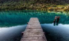 窦安冬姓名评分91分