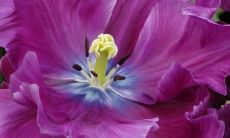 米丰静姓名评分74分