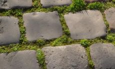 安凤伟姓名评分86分