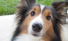 鲁萌琨姓名评分72分