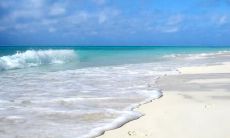 汤姗娜姓名评分83分