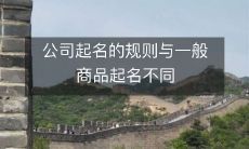 公司起名的规则与一般商品起名不同
