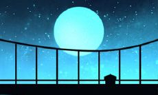 1月11日生日花:螺旋藓苔,生日花语安乐