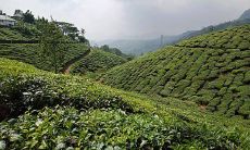 购房楼层的风水选择 买房子选楼层风水讲究