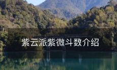 紫云派紫微斗数介绍