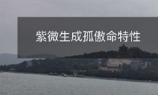 紫微生成孤傲命特性