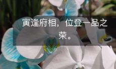 寅逢府相，位登一品之荣。