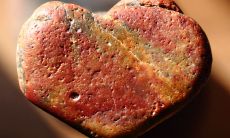 龙和虎相冲吗 是否相配他们