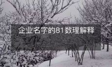 企业名字的81数理解释