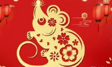 脑子聪明到爆的生肖女 头脑比较发达的星座女