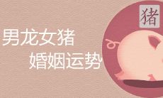 男龙女猪是上等婚姻吗 如何增进感情