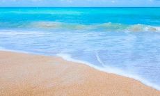 下个月几个星座将迎来旺盛的桃花运