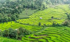 普通人是几两命 几两命是最好的