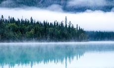 91年1月26日是什么命 农历十二月十一出生命运