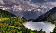 林祖冬姓名评分103分