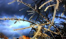 裘谞闻姓名评分80分