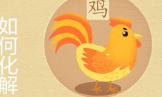 属鸡和属鸡的适合做夫妻吗 如何化解酉酉自刑