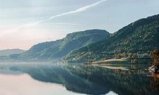 91年1月25日是什么命 农历十二月初十出生命运