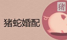 猪和蛇在一起对谁不利 相冲后果有哪些