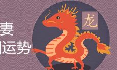 1988属龙男与1993女鸡适合结婚吗