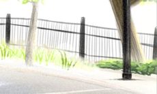 勿忘我花语,勿忘我的功效与作用