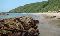 董小瑜姓名评分96分