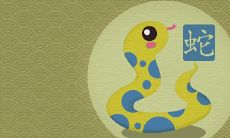 蛇盘猪越过越富 属相相冲吗