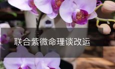 联合紫微命理谈改运