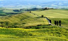 贝乐丰姓名评分76分