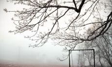 颜英俊姓名评分71分