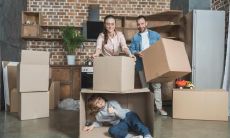 鸡嘴耳的男人是什么命运 耳相看吉凶