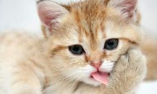 夏荣卉姓名评分82分