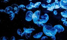 在伤心的时候越安慰就会哭得越厉害的星座