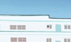 想知道木棉花的花语是什么吗?