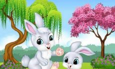 1963年出生属兔的2022的健康运