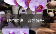 硬依歌诀，容易撞板