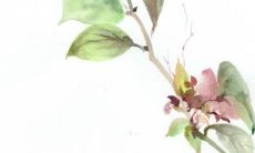 2023年2月12日开张日子好么 今日营业怎么样