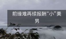 前缘难再续报酬“小”美男
