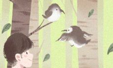 不同颜色的风信子花语是什么