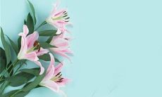 2023年2月21日开张好不好 这天日子吉利吗