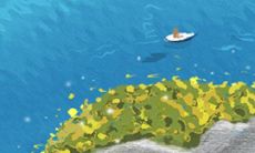 海棠花花语与传说