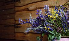 什么是外格 八字无外格